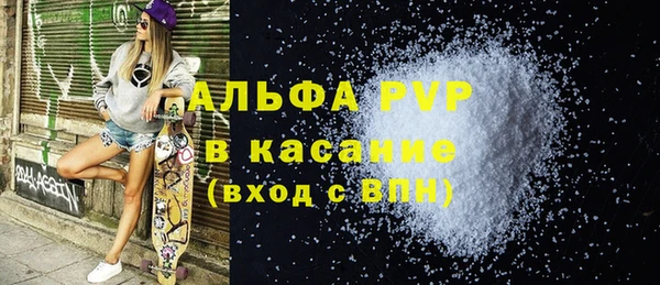 спиды Каменногорск