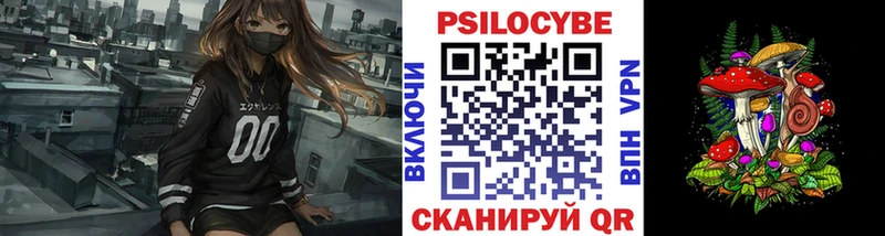Купить  Белокуриха  Псилоцибиновые грибы Psilocybine cubensis 